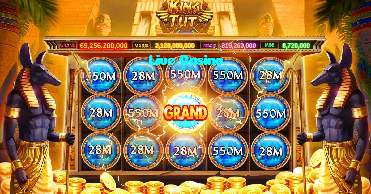 available types of Live Casino bet including pre-match live express and system bets